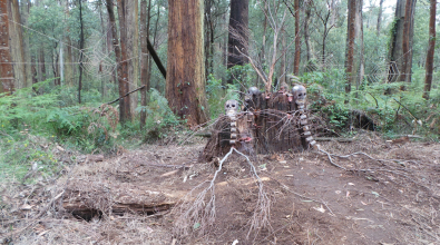 Toolangi Sculpture Trail