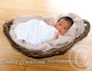 olive branch baby basket_000_000_20171109150024